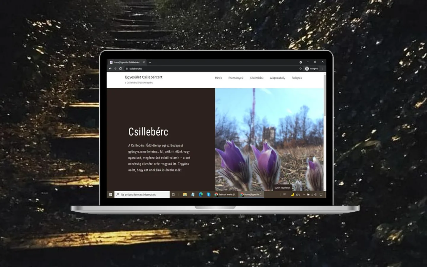 helyi egyesület honlapja 